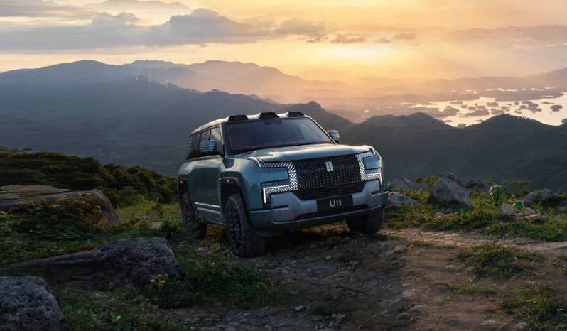 
								Yangwang U8 Off-road Player Edition full									