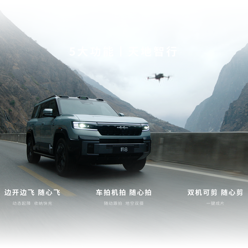 
								Fangchengbao Bao 8 Premium Edition Conquer full									