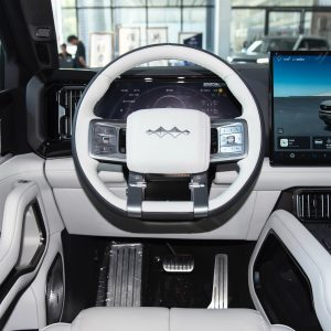 Car view 11