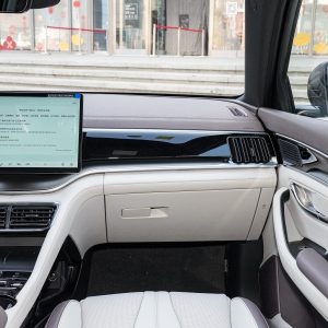 Car view 10