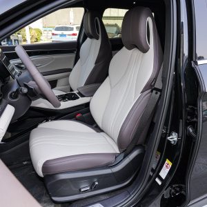 Car view 11