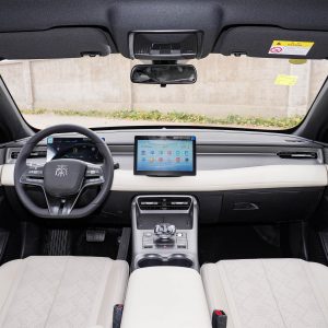 Car view 11