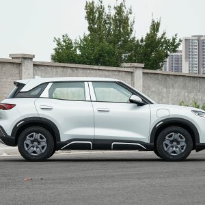 Car view 4