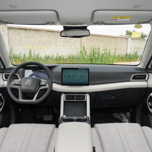 Car view 11