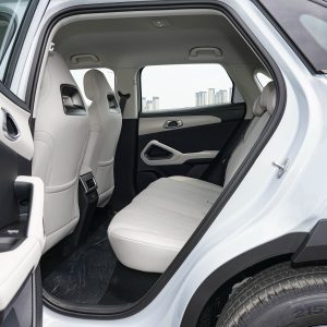 Car view 9