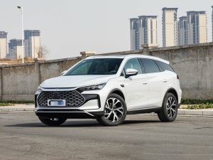 BYD Tang DM-i Intelligent Driving Edition – Premium 115KM (PHEV)