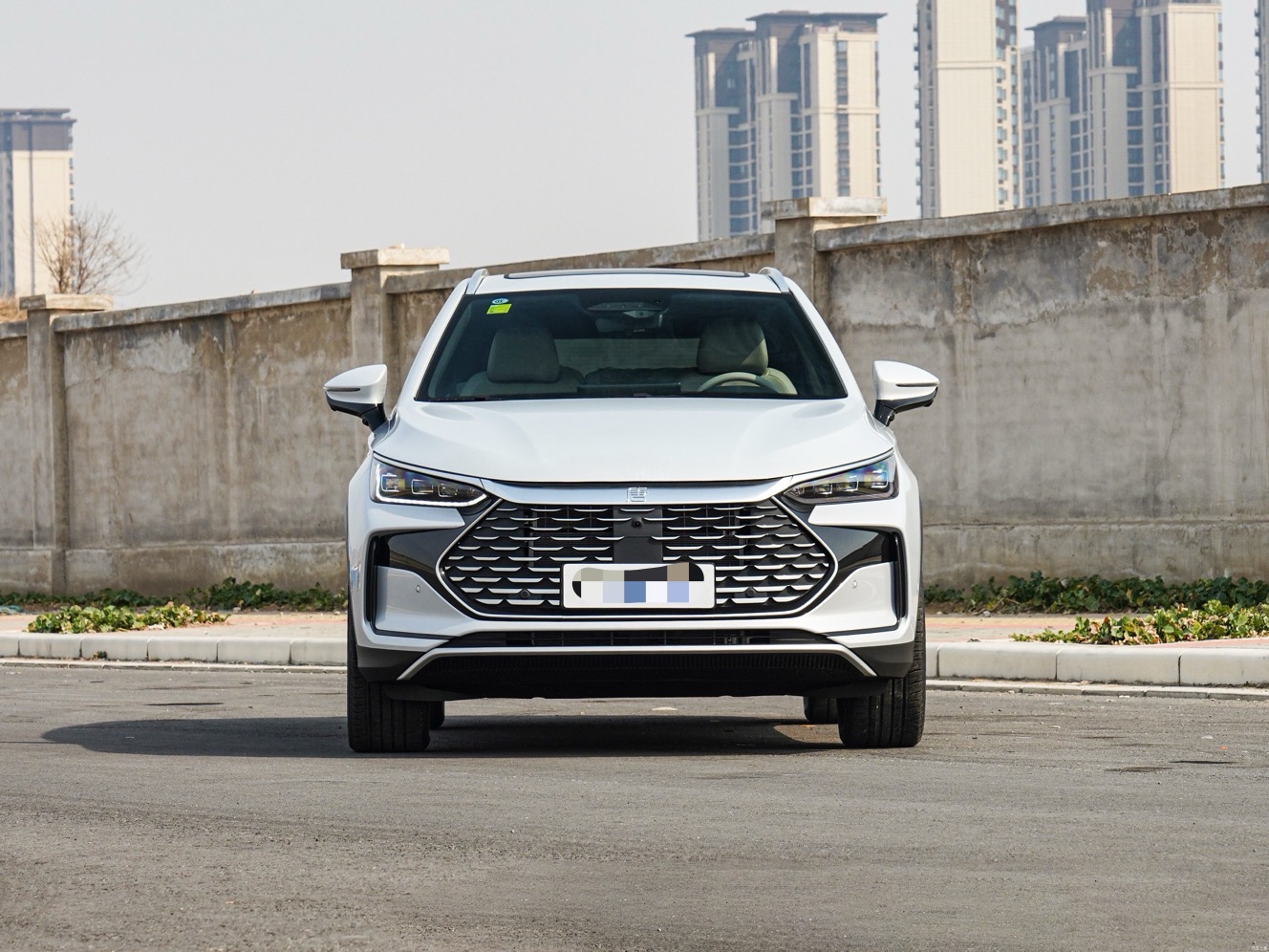 
								BYD Tang DM-i Intelligent Driving Edition – Premium 115KM (PHEV) full									