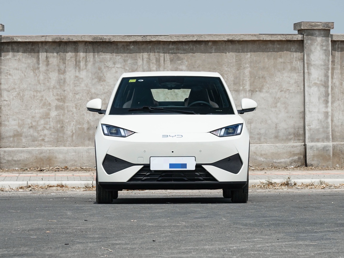 
								BYD Seagull Intelligent Driving Flying Edition (405KM) full									