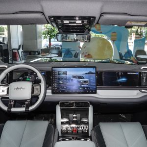 Car view 8