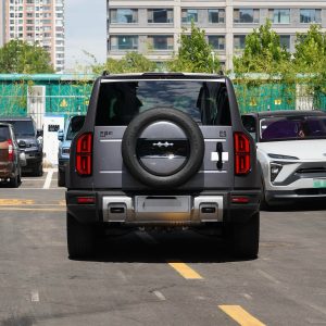 Car view 6