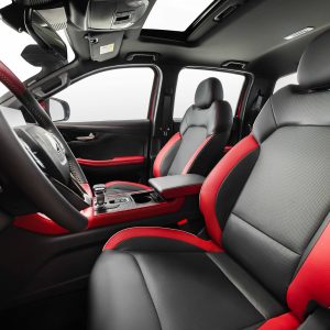 Car view 10