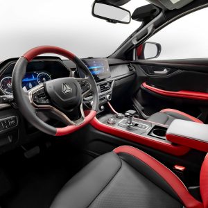 Car view 8