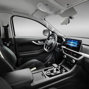 Car view 13