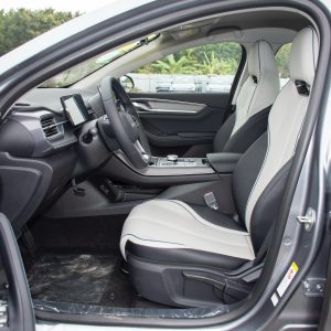 Car view 8