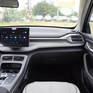 Car view 12