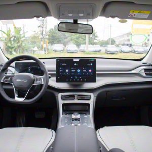 Car view 9