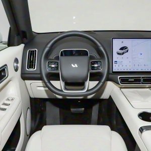 Car view 13