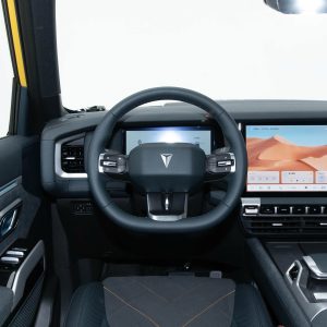 Car view 9