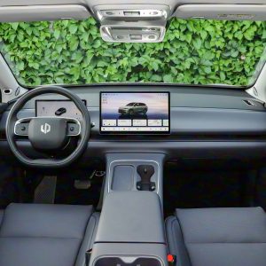 Car view 9