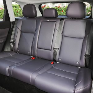Car view 15