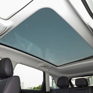Car view 12