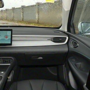 Car view 15