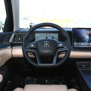 Car view 11